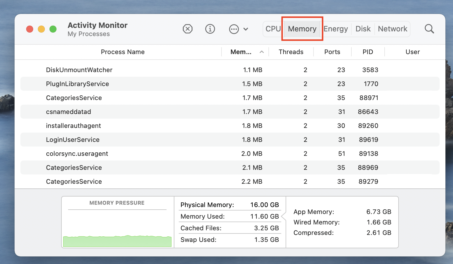 Activity Monitor > Memory Activity Monitor > Memory